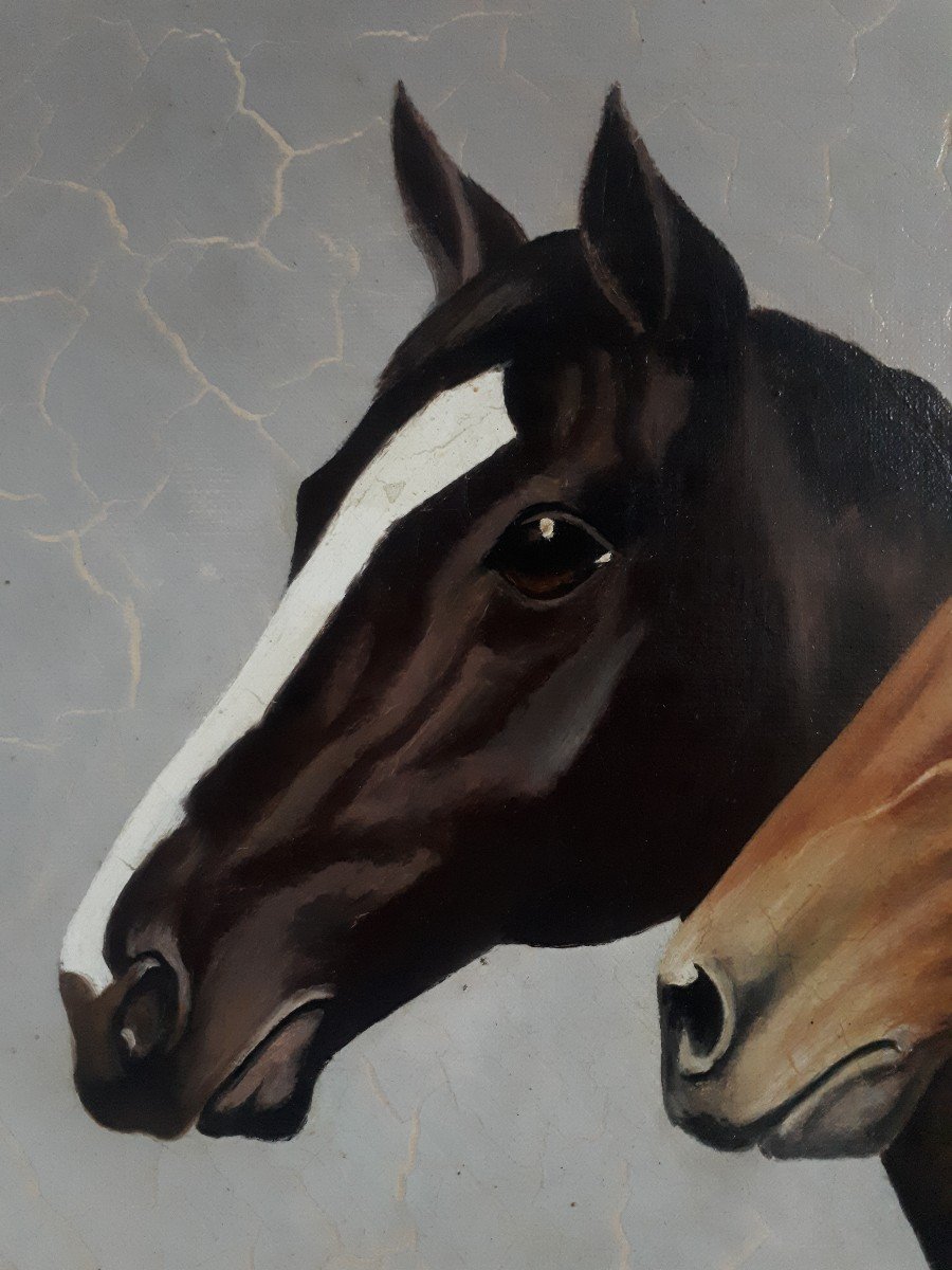 Oil On Canvas Portrait Of Horses Horse J. David-photo-3