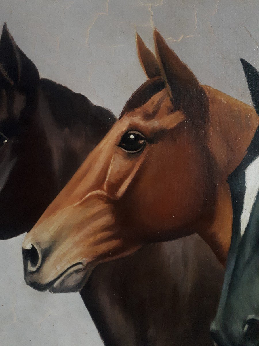Oil On Canvas Portrait Of Horses Horse J. David-photo-4