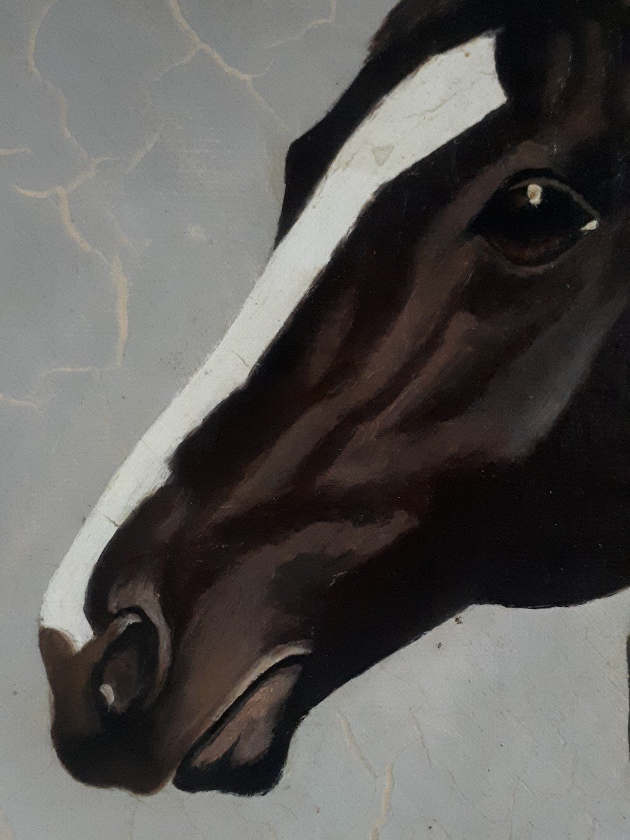 Huile sur toile portrait de chevaux cheval J. DAVID-photo-2