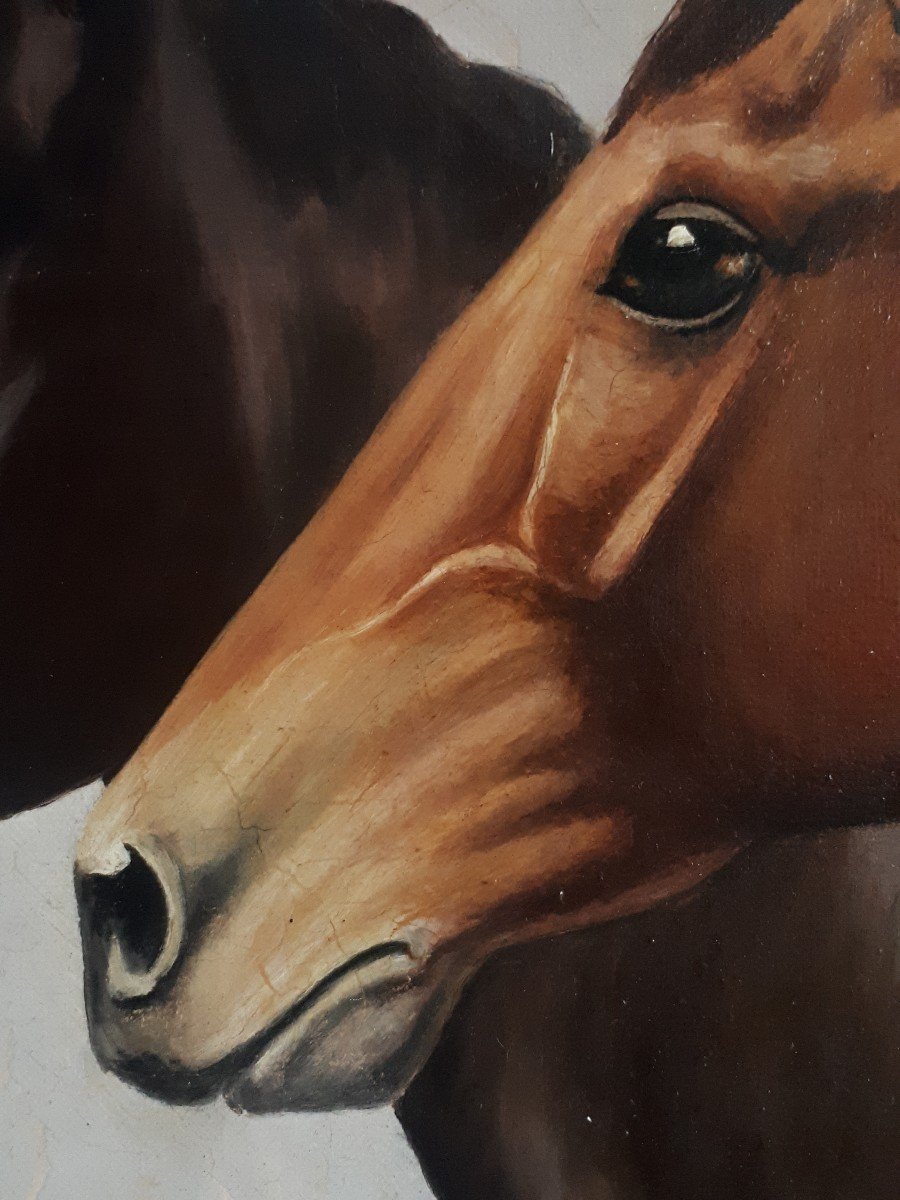 Oil On Canvas Portrait Of Horses Horse J. David-photo-4