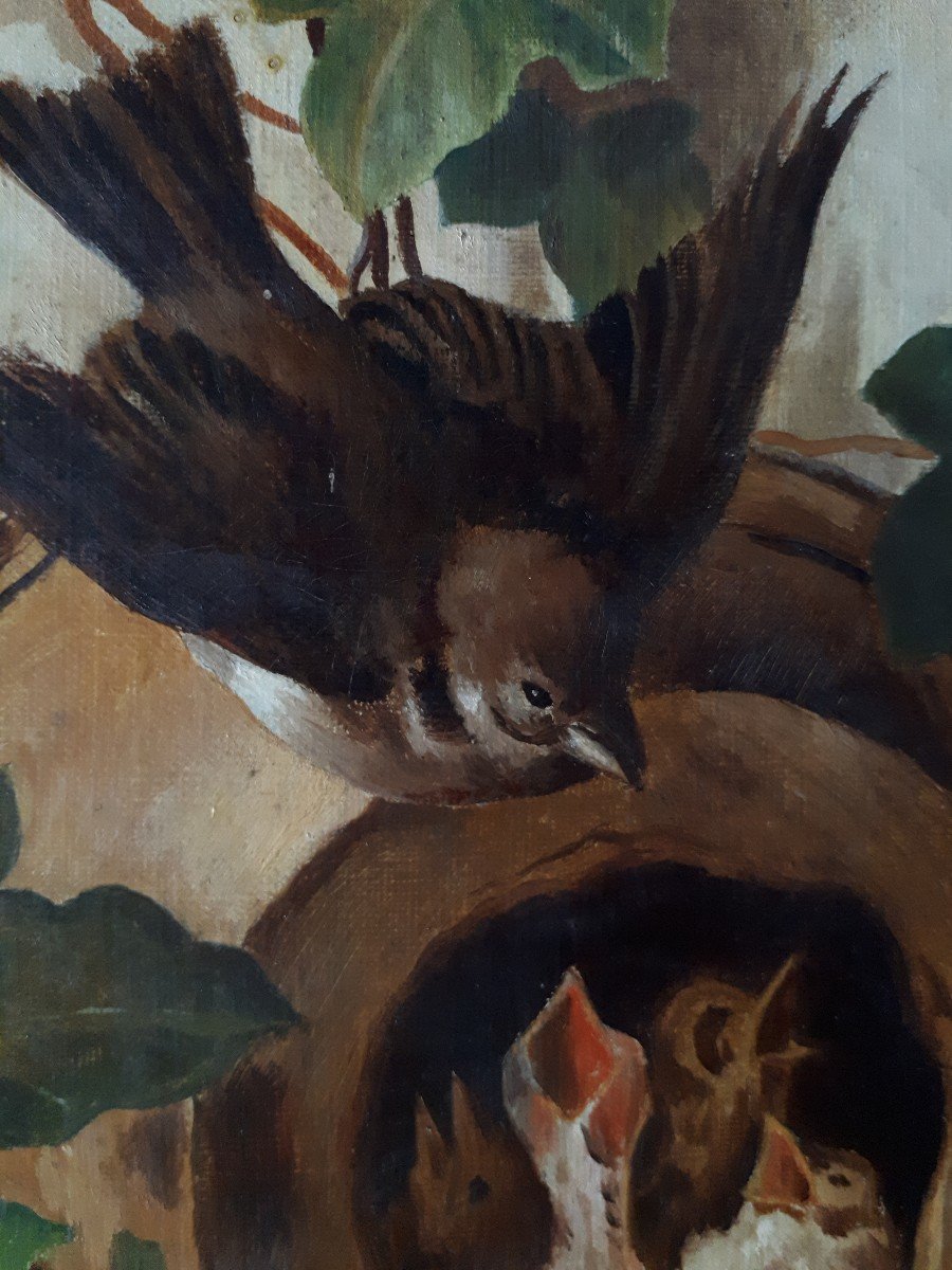 Tableau animalier huile sur toile nid oiseaux oisillons 19ème signé daté 1887-photo-2