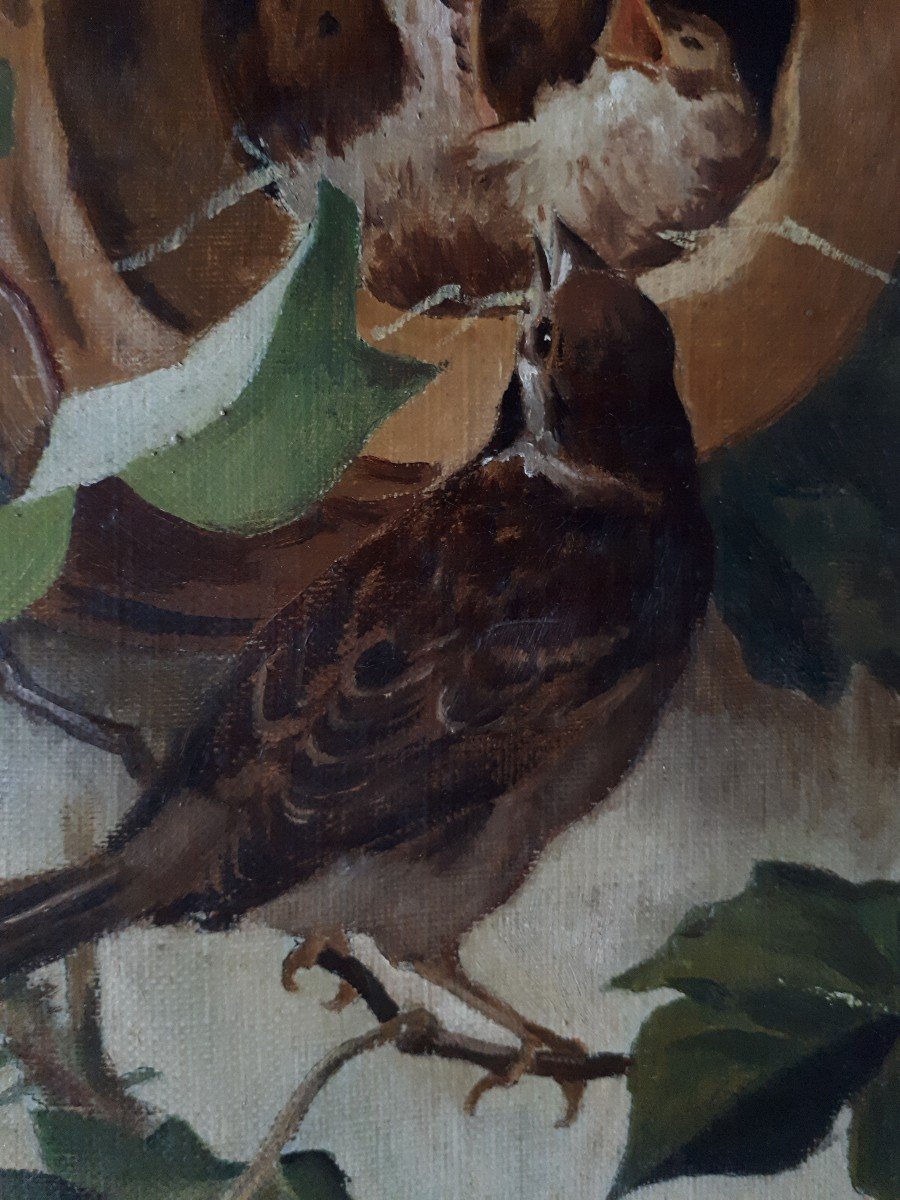 Tableau animalier huile sur toile nid oiseaux oisillons 19ème signé daté 1887-photo-4