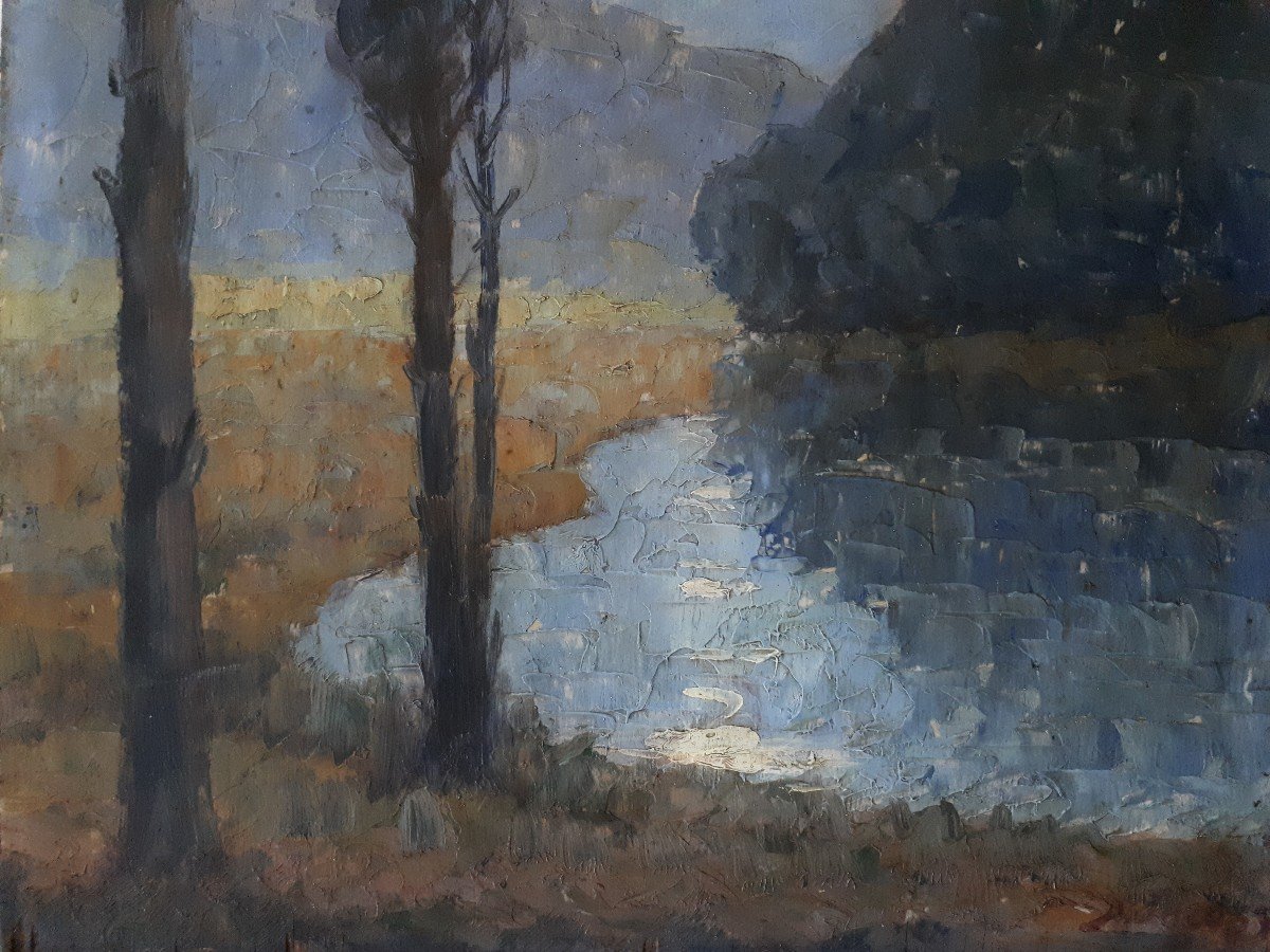 Dieudonné Jacobs (1887-1967) Lake Landscape At Dusk Impressionism Oil On Wood-photo-3