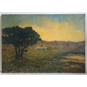 Oil On Canvas Landscape Pastoral Scene Sheep Dusk Dawn Early 20th Century (signed, Dated)