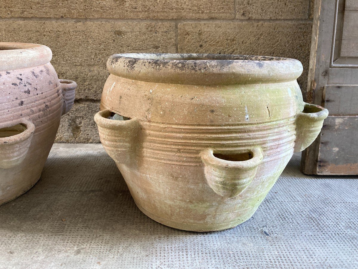 Pair Of Terracotta Garden Pots-photo-2
