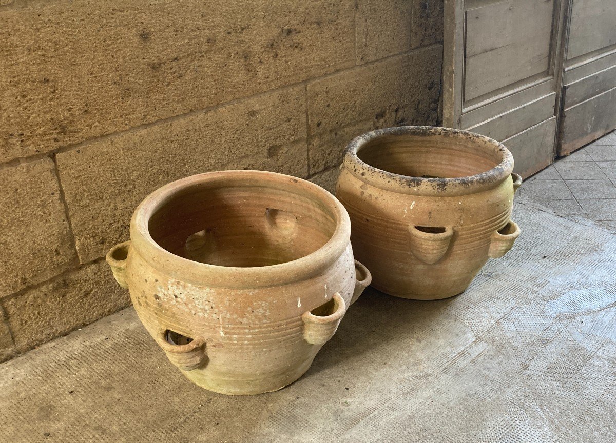 Pair Of Terracotta Garden Pots-photo-4