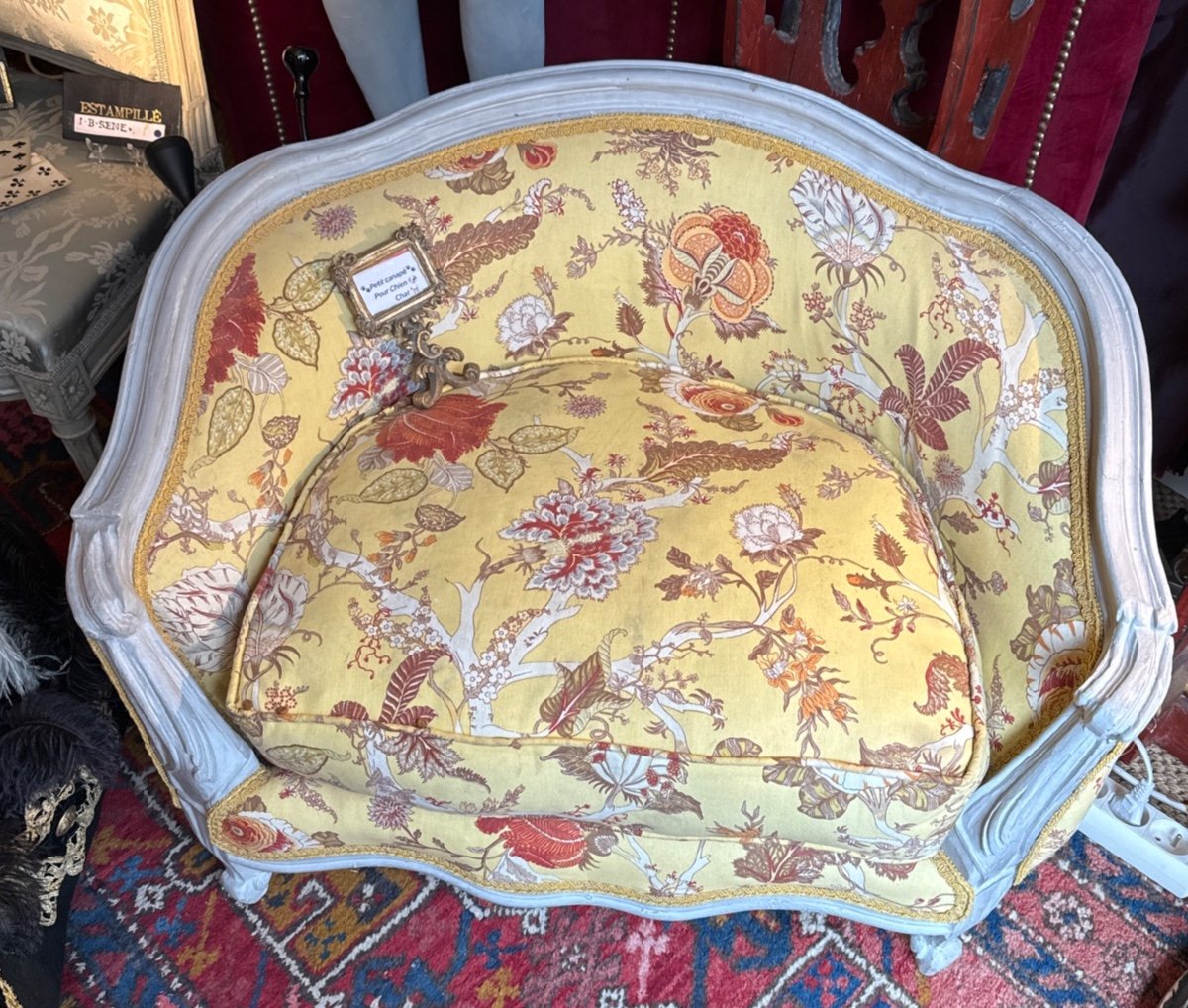  Small Marquise Dog, Cats Sofa , Very Comfortable, 20th Century, Louis XV Style.-photo-3