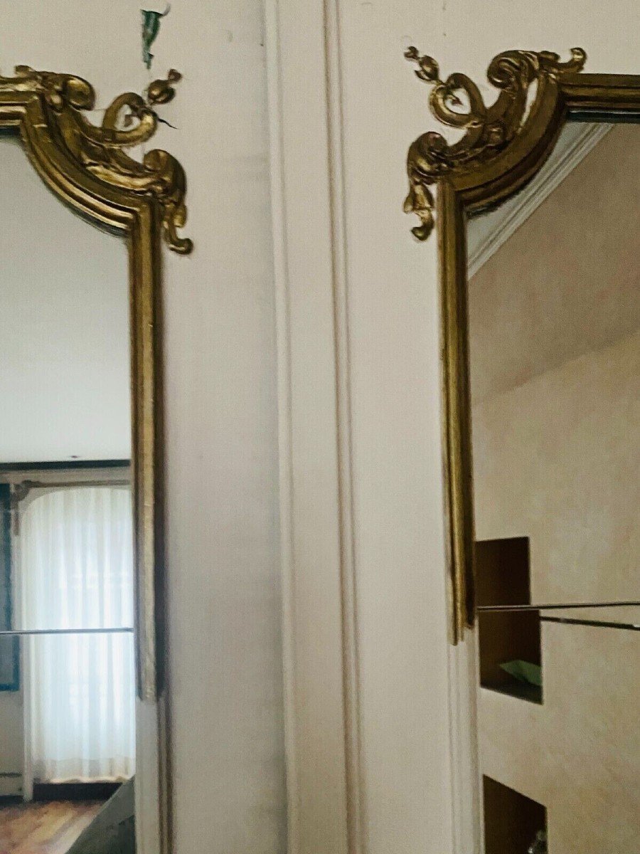 Double Haussmann Door In Mirror And Patinated Fir XX Century Passage Door-photo-2