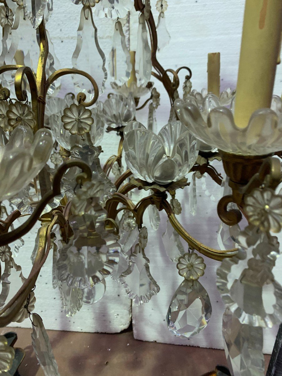 Cage Chandelier With Sixteen Lights Pampilles And Crystal Cups XIX Century-photo-2