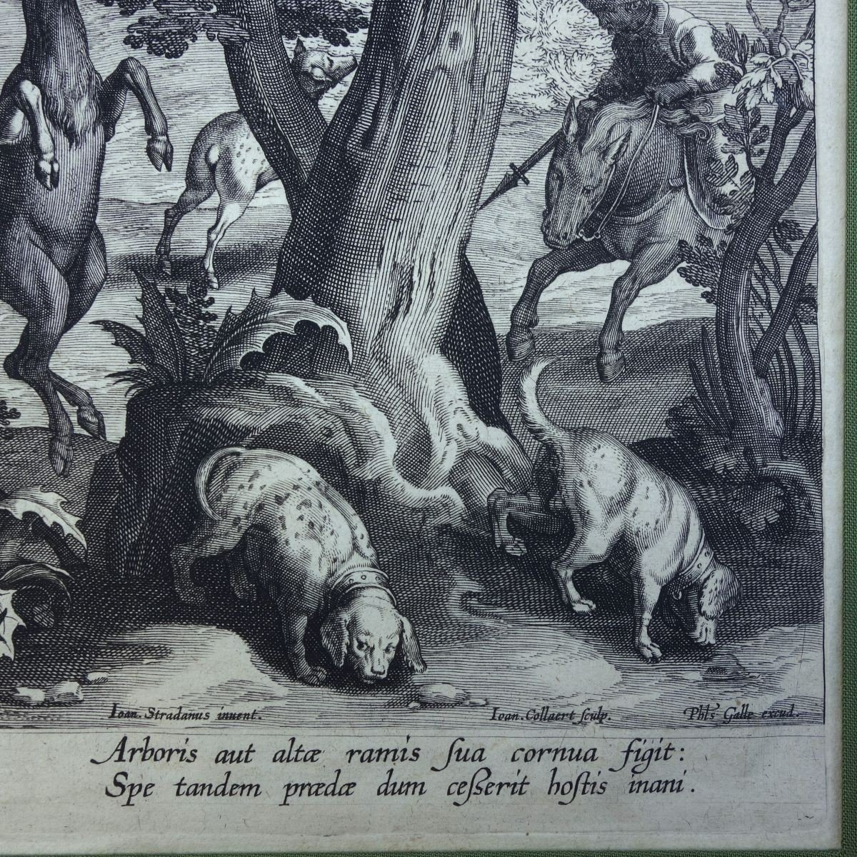 Stradanus (jan Van Der Straet), Johannes (1523- 1605) Gibier De Chasse. Gravure De Jan Collaert-photo-4