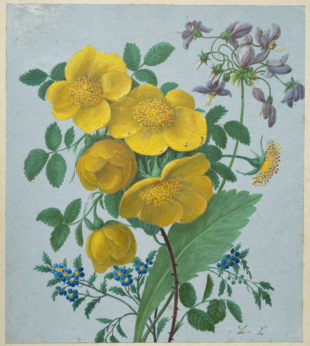 Study Of Flowers Buttercups Gouache XIXth Monogram L.l.-photo-4