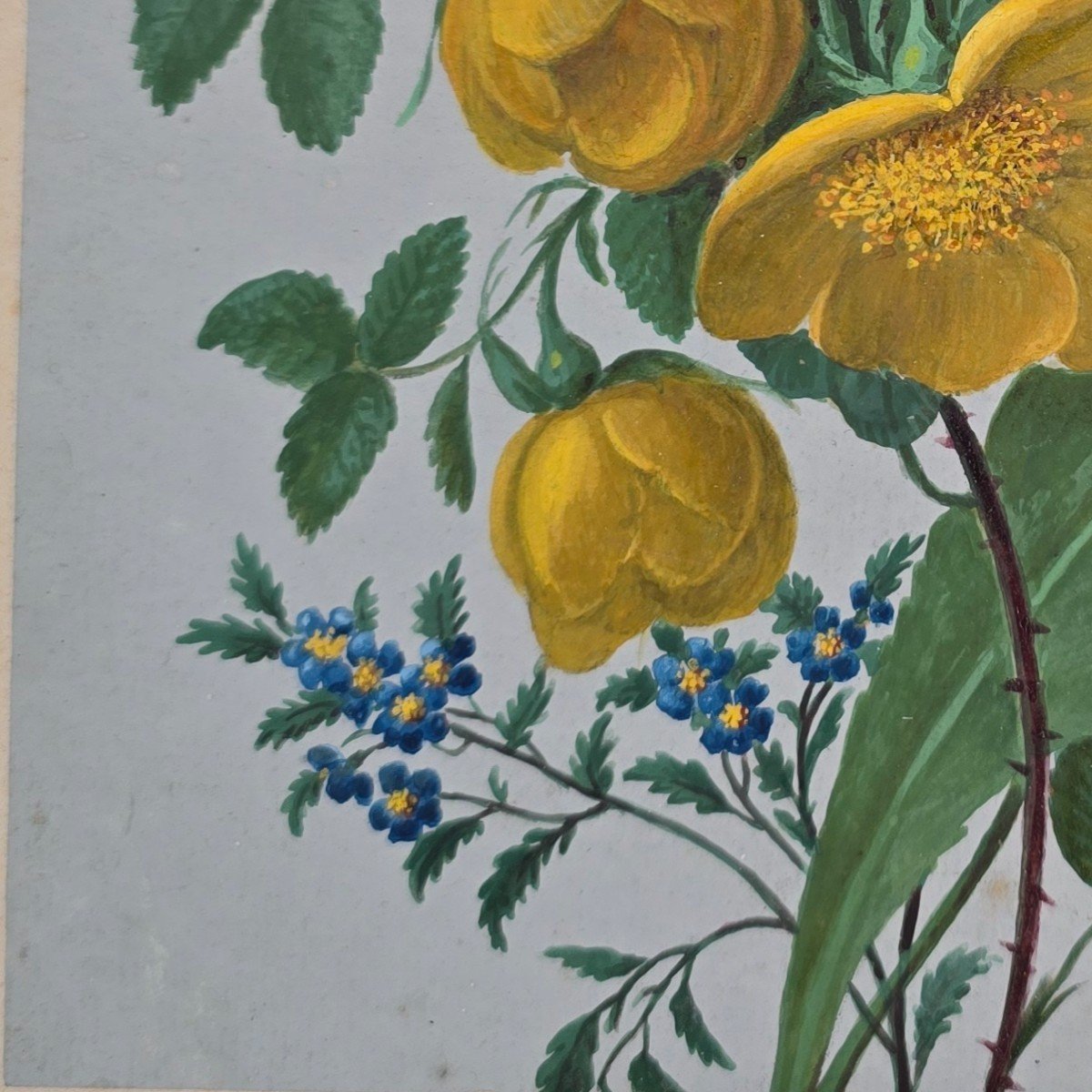 Study Of Flowers Buttercups Gouache XIXth Monogram L.l.-photo-2