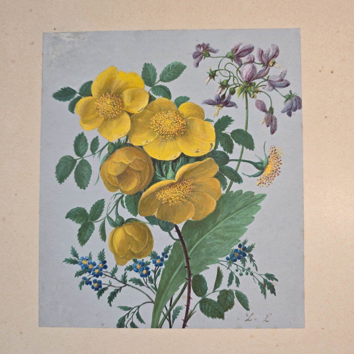 Study Of Flowers Buttercups Gouache XIXth Monogram L.l.