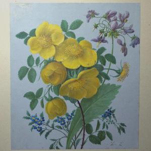 étude De Fleurs botanique Boutons D’or Gouache XIXe Monogramme L.L.