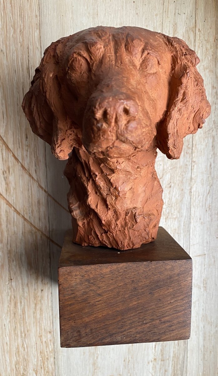 Tête De Chien « Setter » Sculpteur Richard Fath 1900 -1952 Signée Au Dos Terre Cuite-photo-2