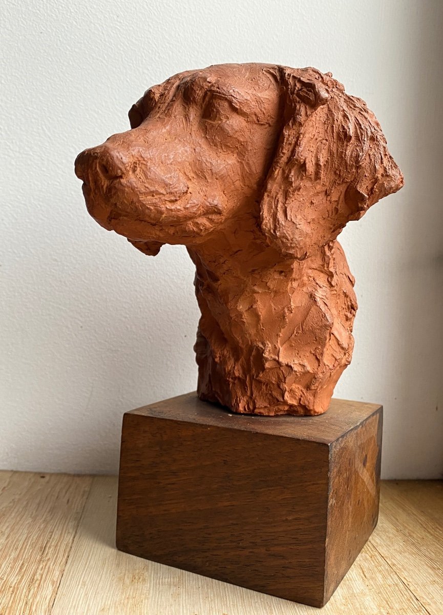 Tête De Chien « Setter » Sculpteur Richard Fath 1900 -1952 Signée Au Dos Terre Cuite