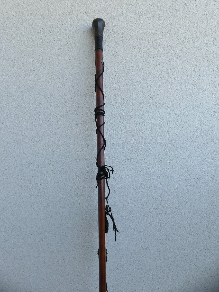 Companion Of Duty Cane, 19th Century-photo-2