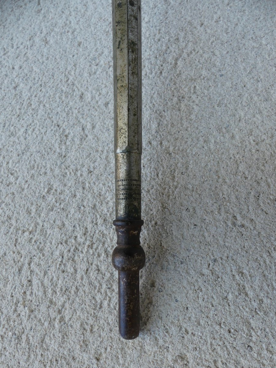 Companion Of Duty Cane, 19th Century-photo-4