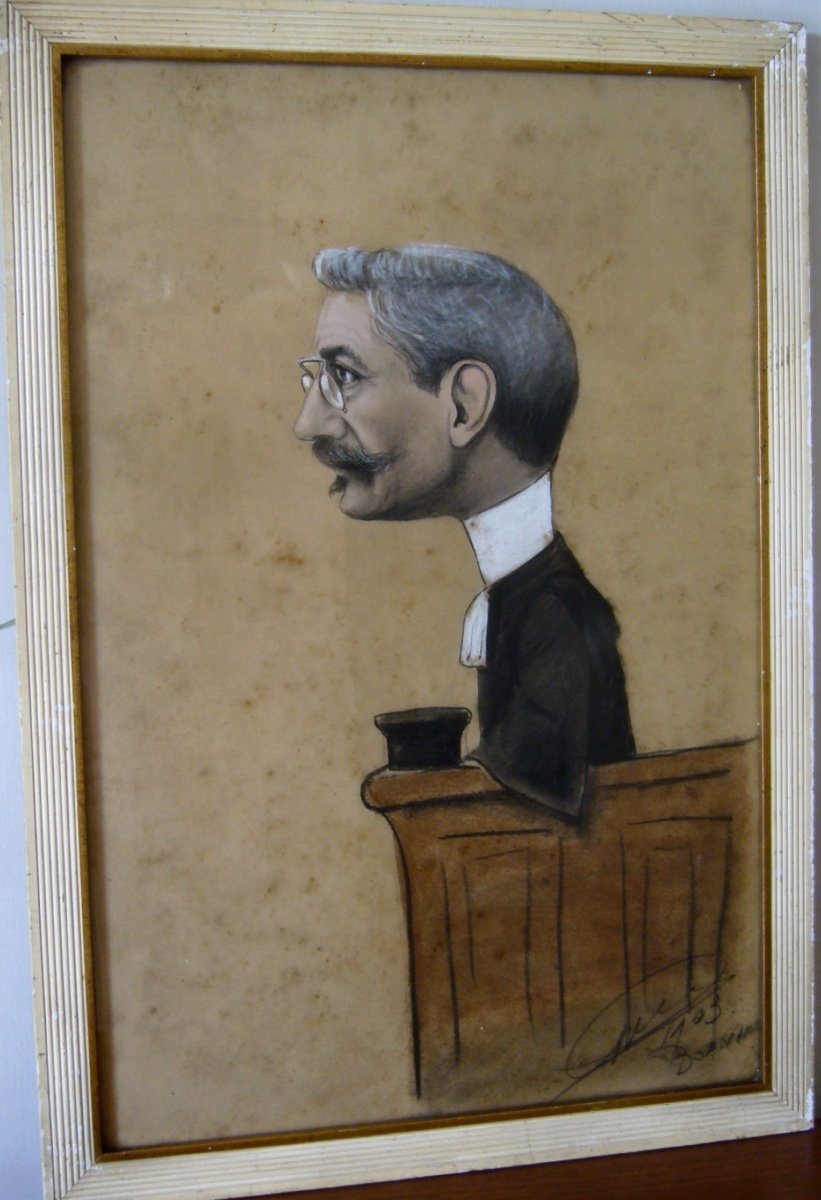 Caricatured Portrait Of Lawyer-photo-3