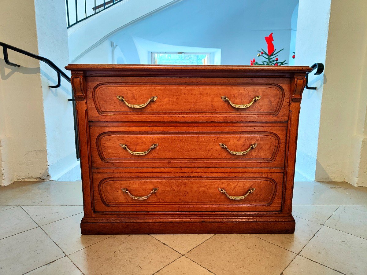 Art Nouveau Counter Chest Of Drawers (circa 1900-1920)-photo-3