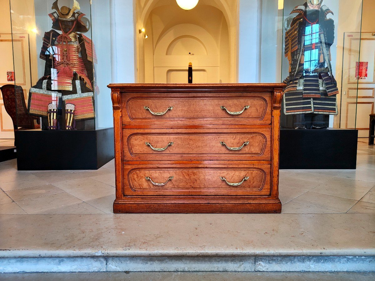 Art Nouveau Counter Chest Of Drawers (circa 1900-1920)-photo-7