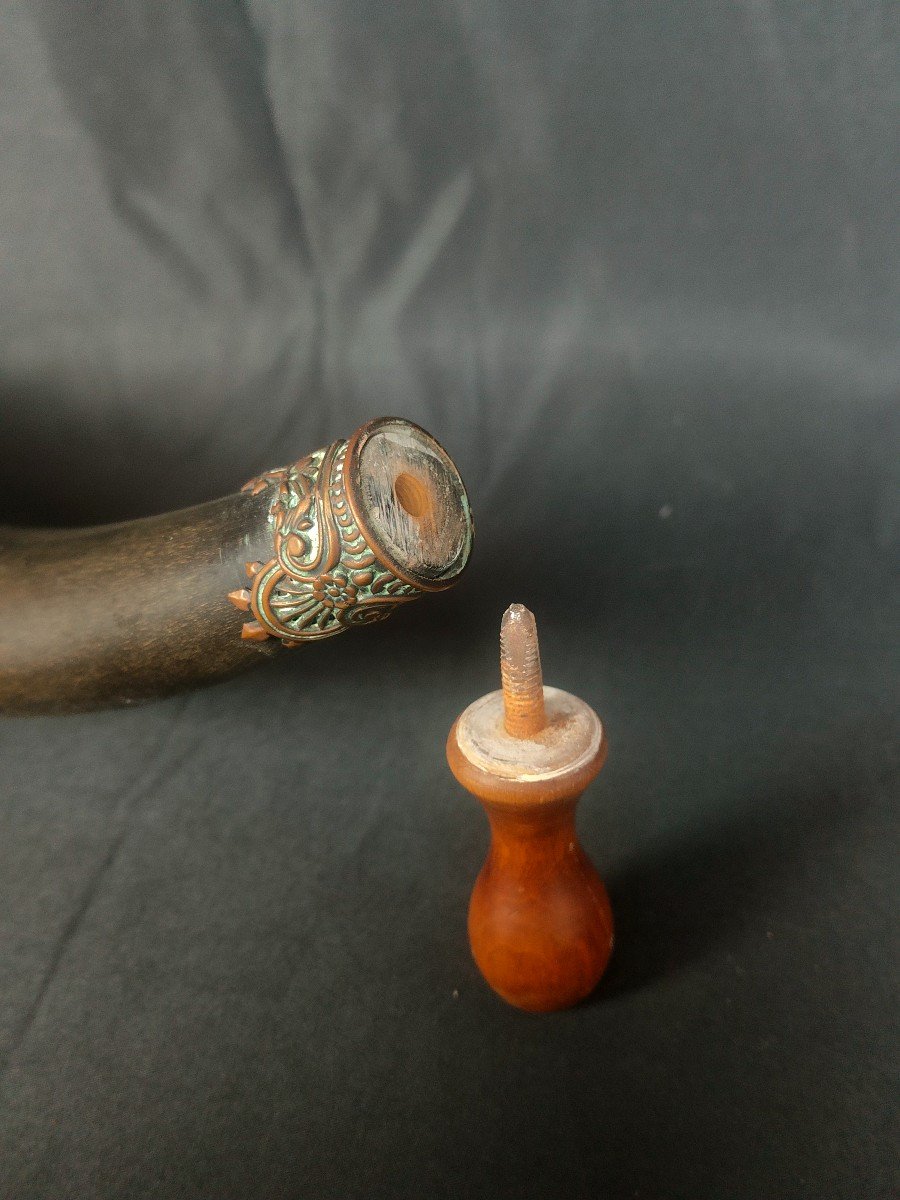 Spectacular 19th Century Drinking Horn Or Ornamental Horn-photo-3