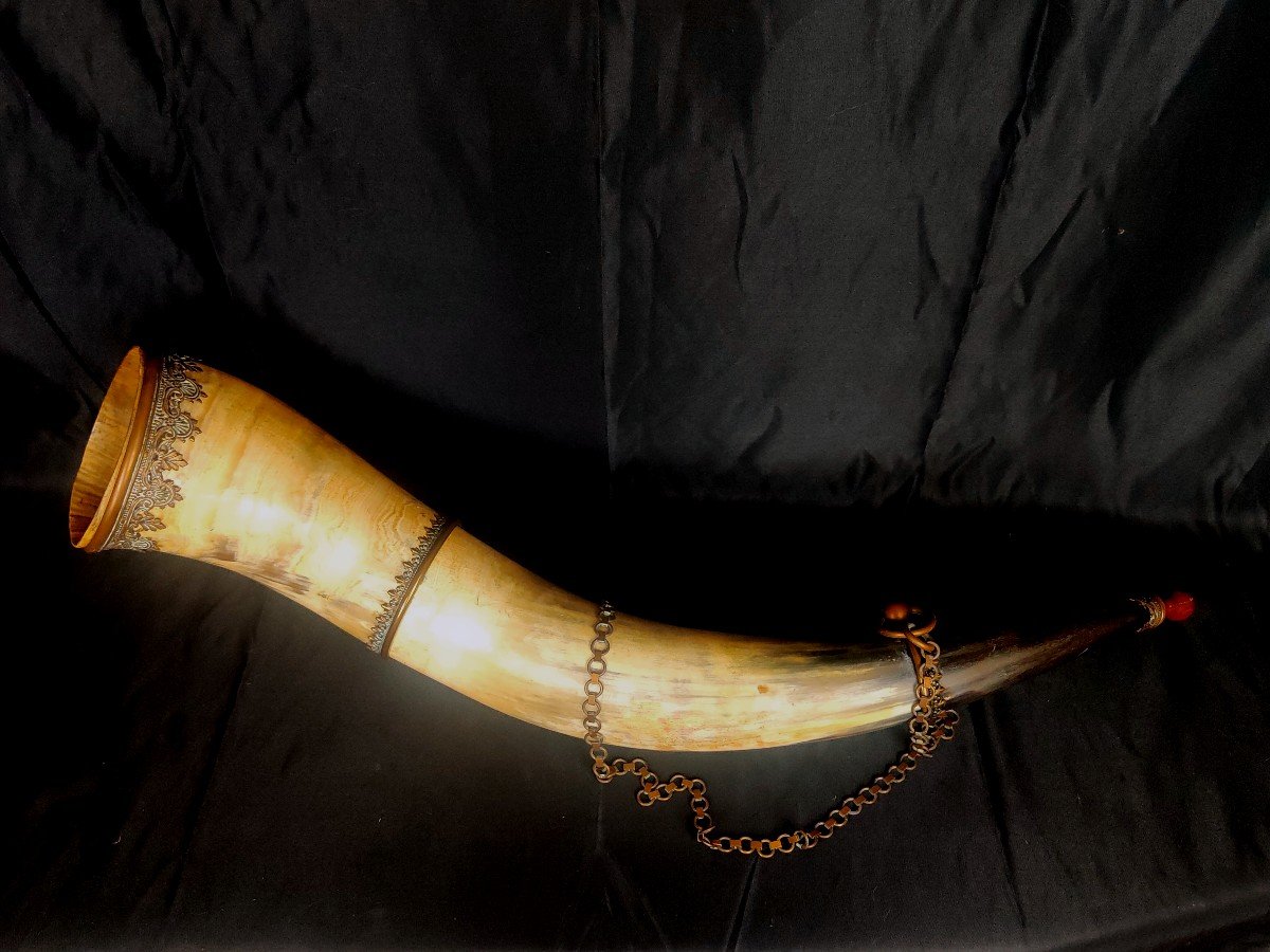 Spectacular 19th Century Drinking Horn Or Ornamental Horn-photo-6