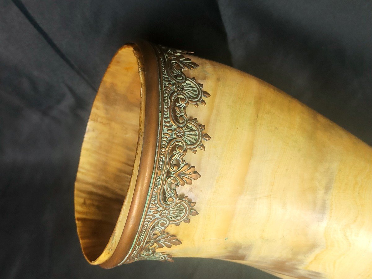 Spectacular 19th Century Drinking Horn Or Ornamental Horn-photo-7