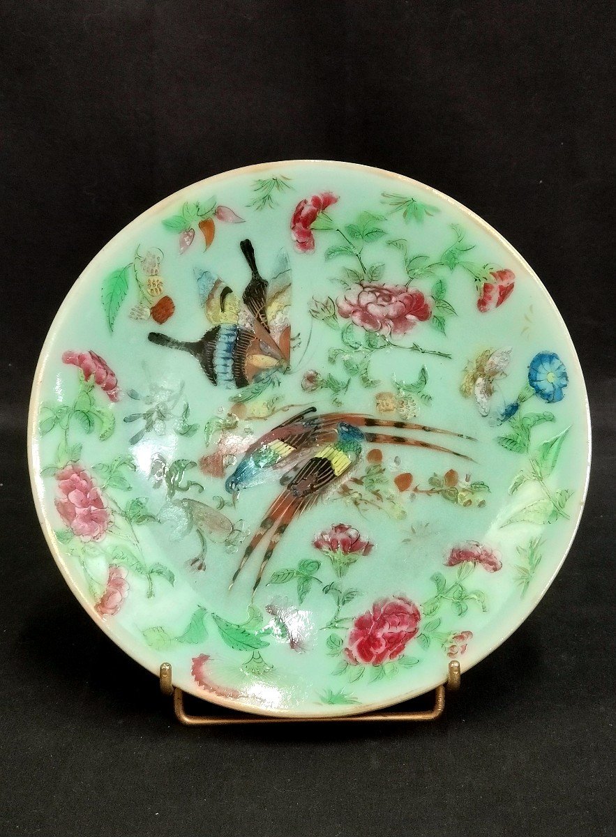 Chinese Porcelain Plate From Canton - China 19th Century