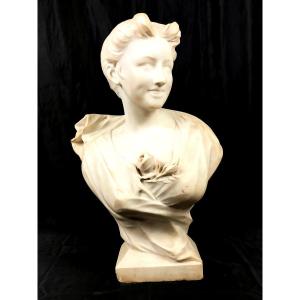 Spectacular Carrara Marble Bust 1900