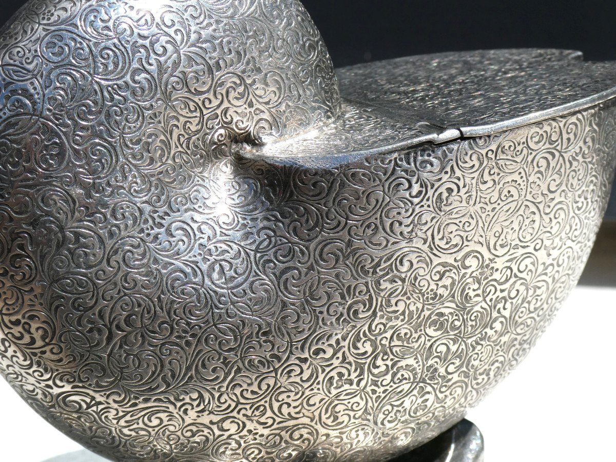 Shell / Nautilus In Silver Metal, English Spoon Warmer, 1900 Period, Tableware-photo-4