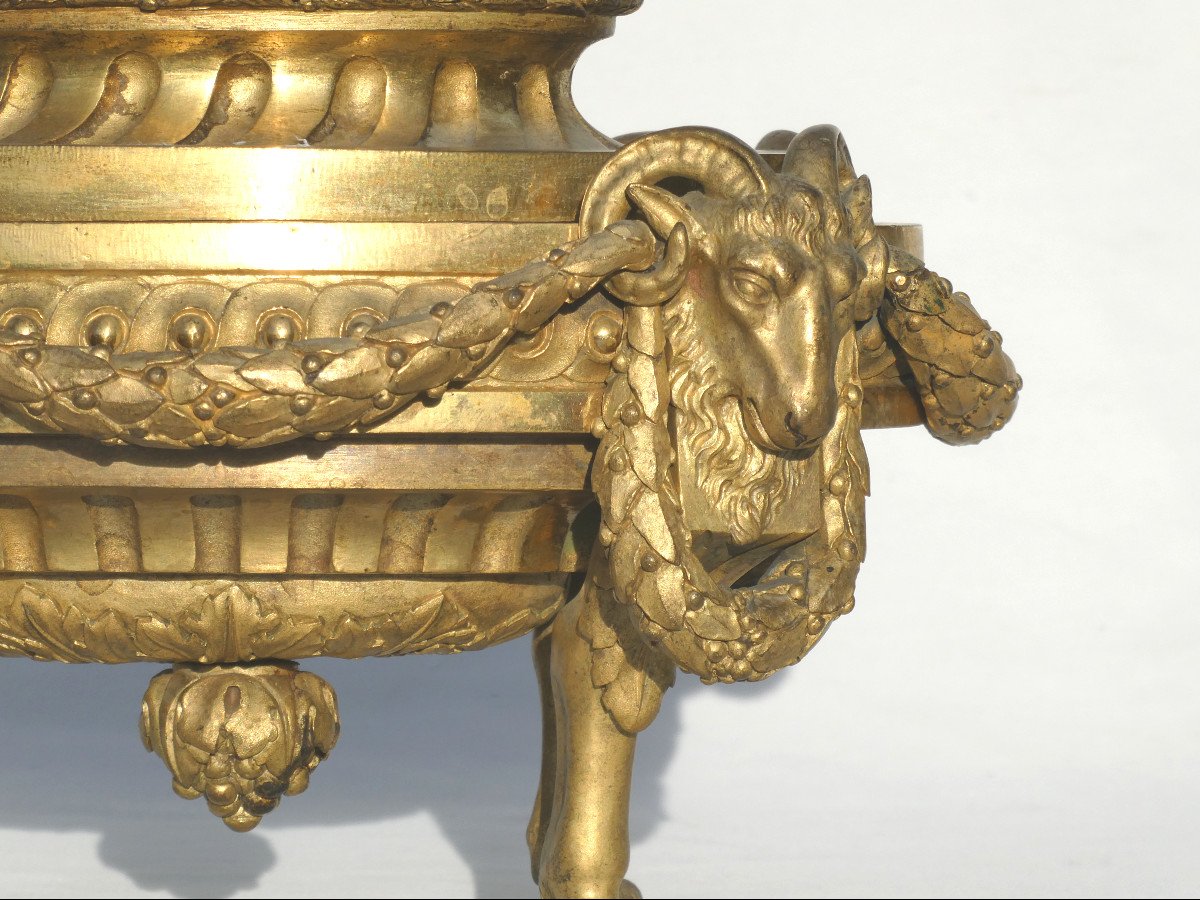 Pair Of Fire Pots, Napoleon III Period, Gilt Bronze, Louis XVI Style, 18th Century, Ram's Head-photo-2