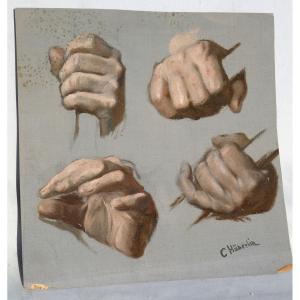 Etudes De Mains , Huile Signée Carl Von Haberlin XIXe , Anatomie 