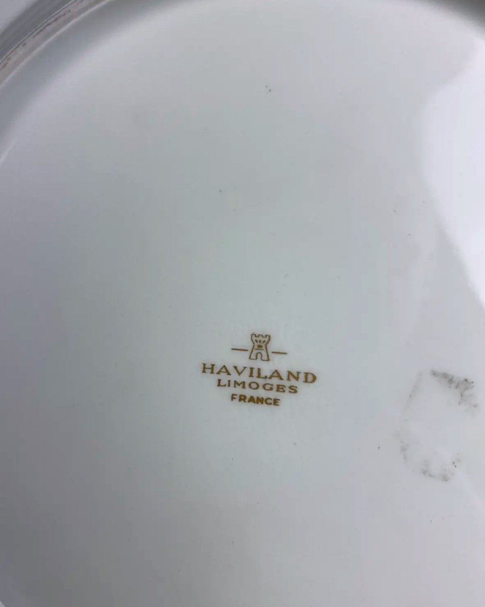 Haviland Limoges, Flat Plate, Pompadour Model-photo-4