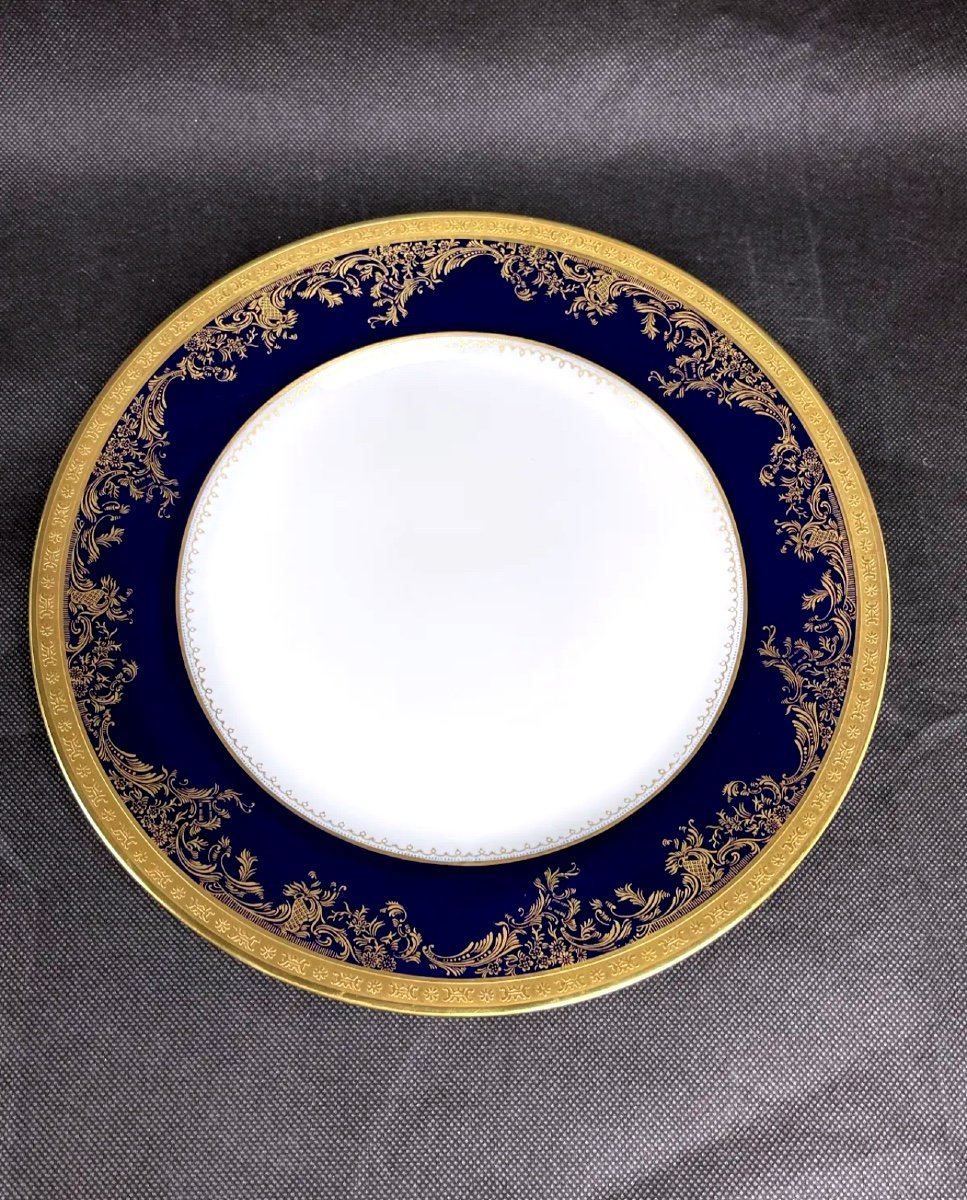 Haviland Limoges, Flat Plate, Pompadour Model