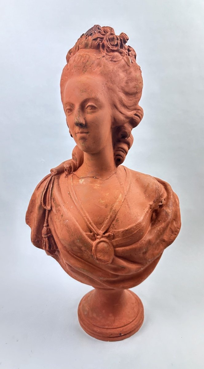 Bust Marie Antoinette Plaster Patina Terra Cotta - 19th Century