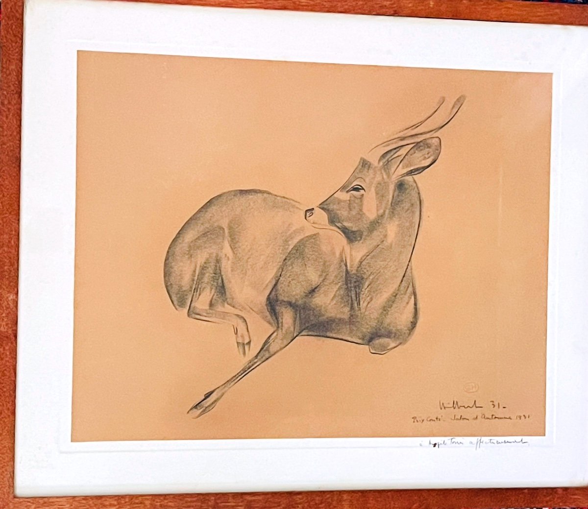 Charcoal Drawing By Georges Hilbert, Antelope Salon d'Automne 1931