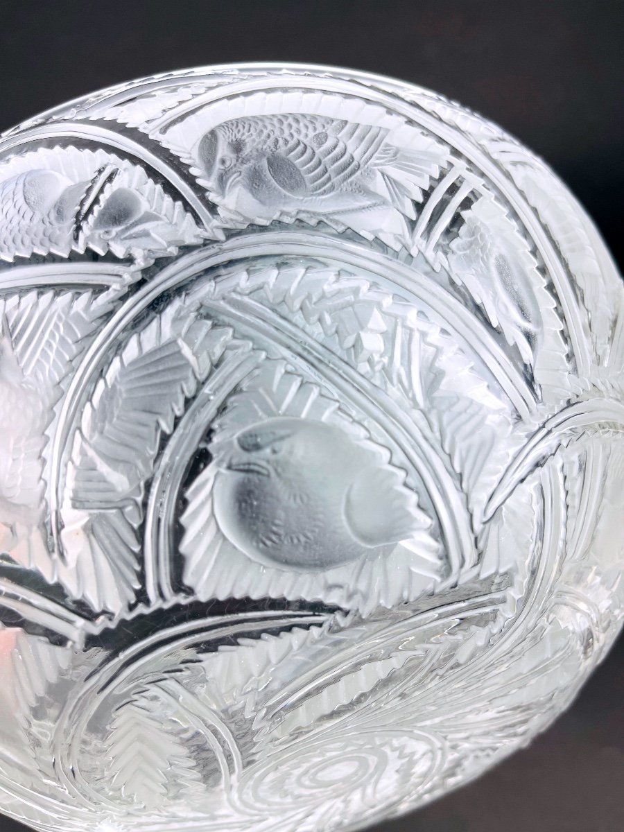 Coupe En Cristal Lalique Modèle Pinsons-photo-4