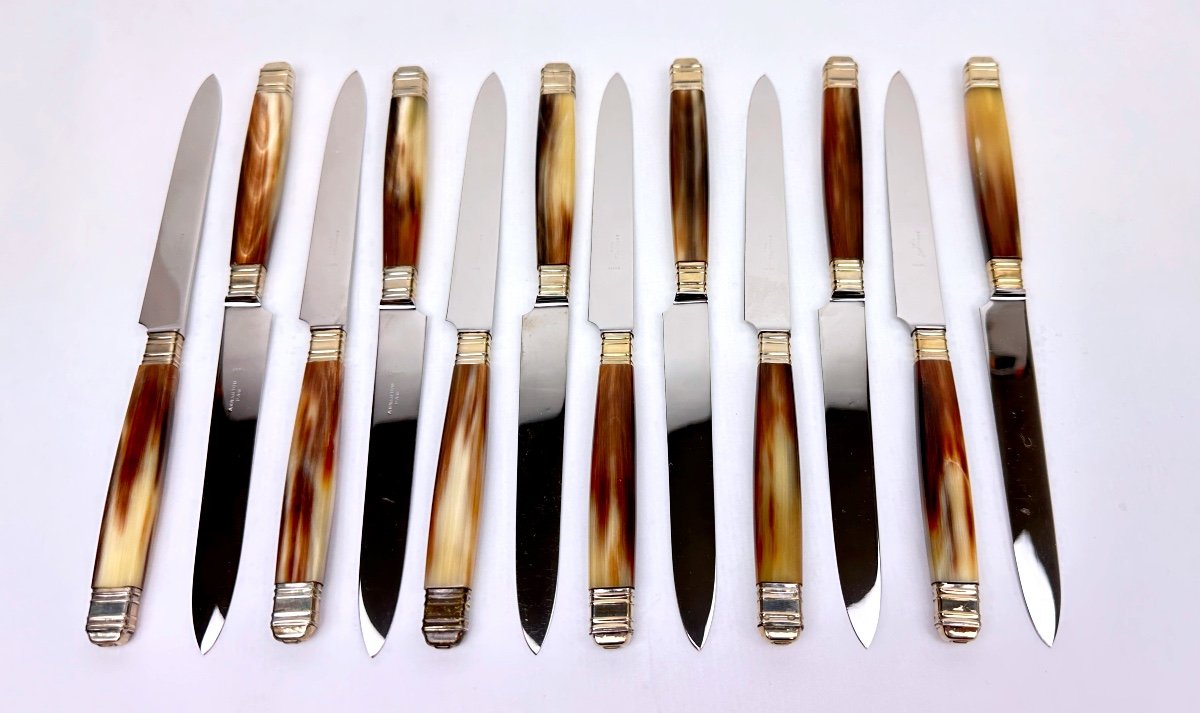 Set Of 12 Cheese Knives, Fontenille-pataud, Imitation Horn Resin Handle 