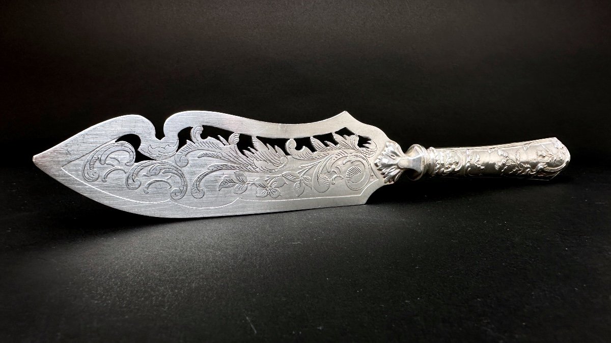 Fish Or Cake Serving Knife With Silver Handle 