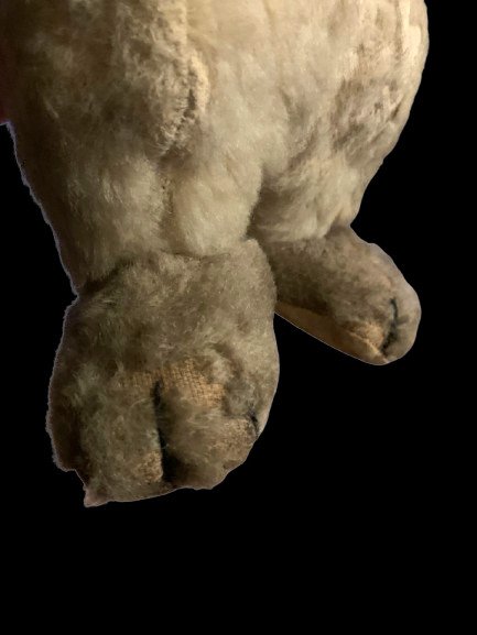 Old 100 Year Old Teddy Bear-photo-2