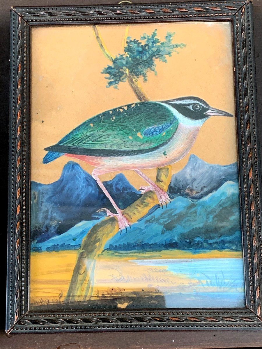 3 Miniatures Oiseaux Exotiques  Fixés Sous Verre Et Gouache, Fin XIX°-photo-3