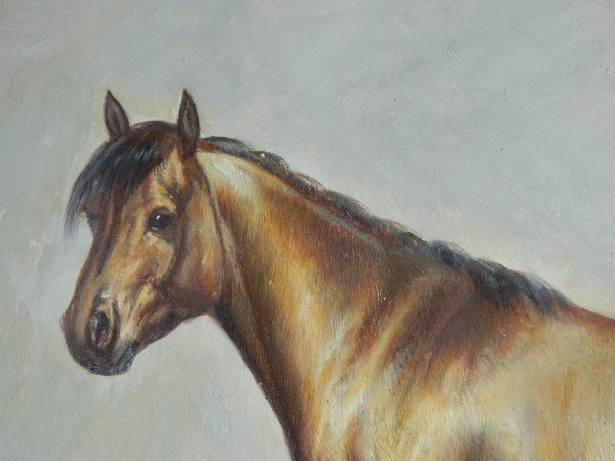 Painting Representing A Horse, Oil On Wood, 19th Century-photo-2