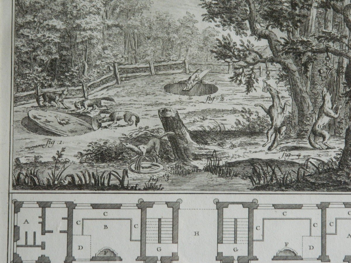 "hunting, Traps... And Plan Of The Kennel", Engraving Diderot And d'Alembert, 18th Century-photo-2