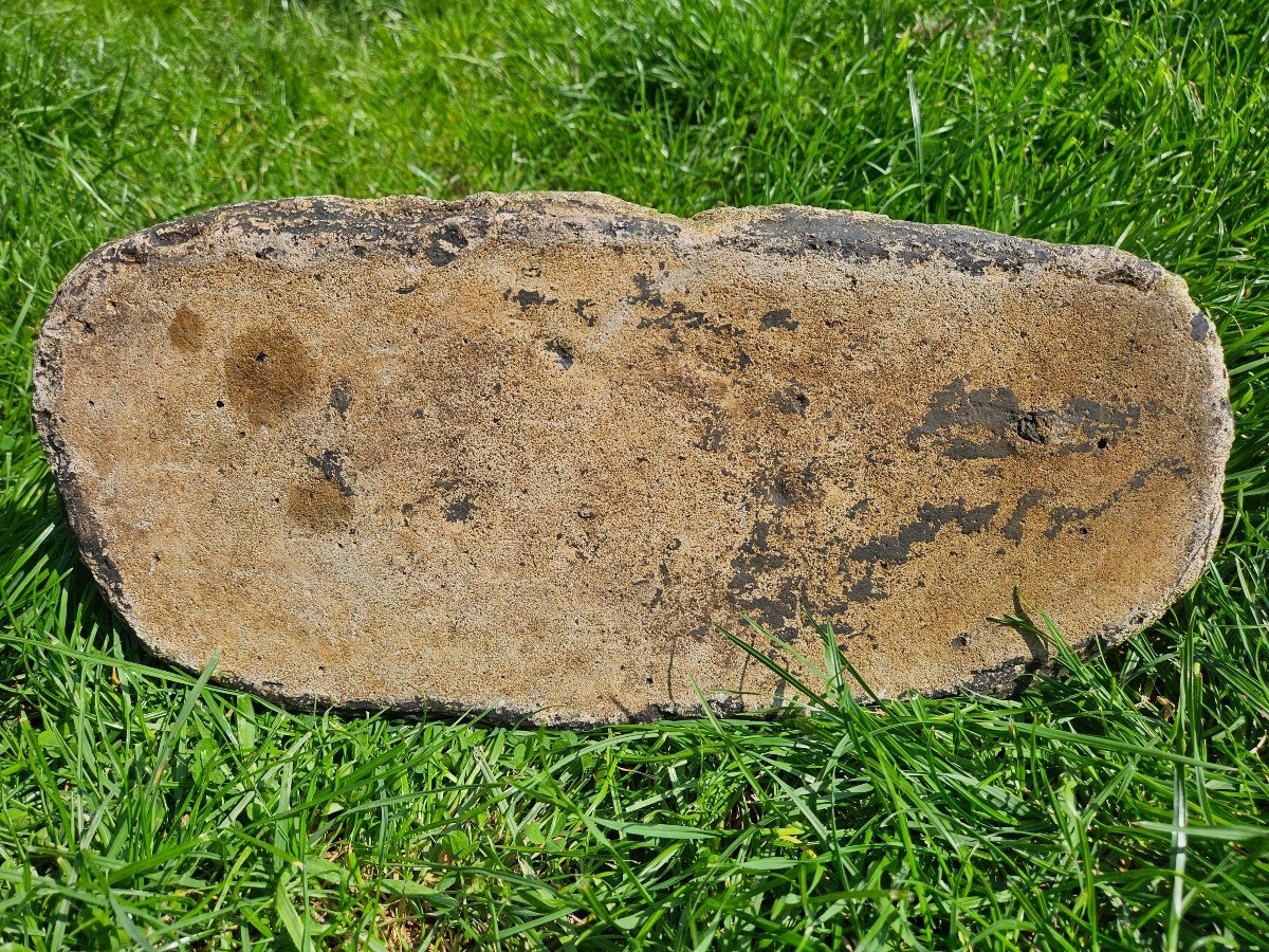 Otter In Reconstituted Stone-photo-4