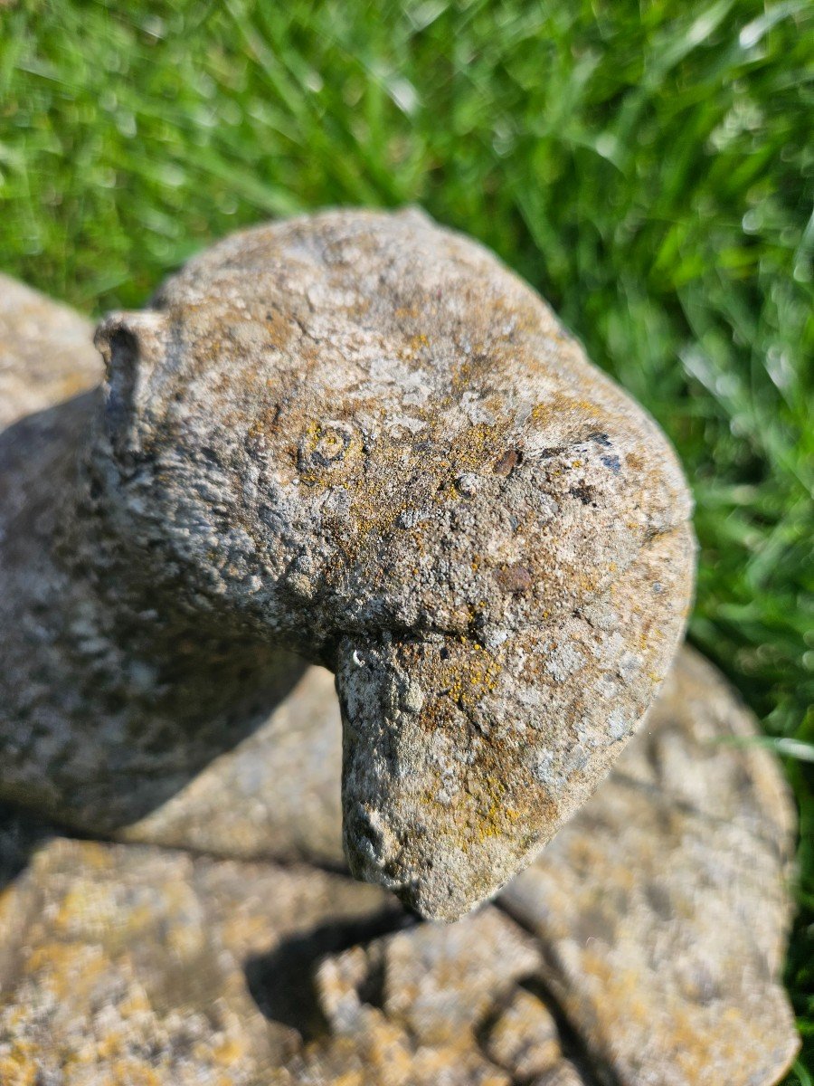 Otter In Reconstituted Stone-photo-1