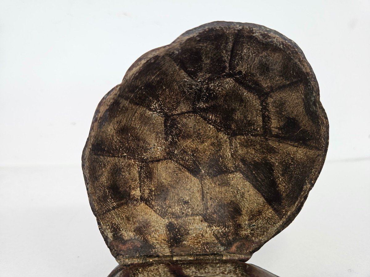 Large Vienna Cold Painted Bronze Turtle Inkwell-photo-1
