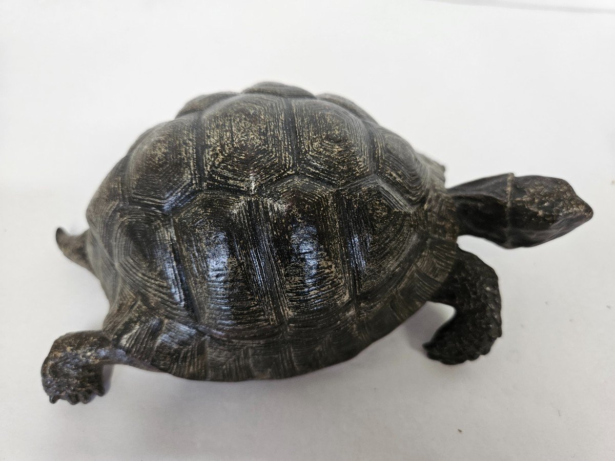 Large Vienna Cold Painted Bronze Turtle Inkwell-photo-4