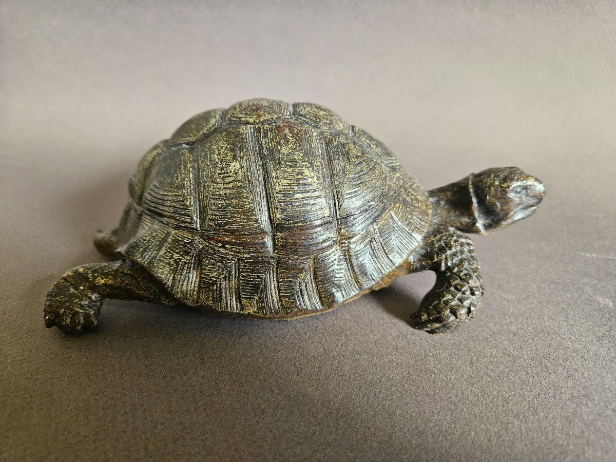 Large Vienna Cold Painted Bronze Turtle Inkwell