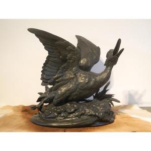 Large Spelter Sculpture "duck Trapped" Signed Comolera